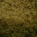 Cooksnap dari Uchi Lusi untuk resep Kelapa Urap