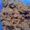 Cooksnap dari vena ellya untuk resep Sambal Pecel (kacang tanah)