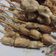 Cooksnap dari Alifia Salwa untuk resep Sate Taichan goreng