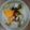Cooksnap dari wening wijayanti untuk resep Sawi Putih santan guriiiihhh !!!