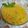 Nikita Singhal's cooksnap of when they made Simple Dal.