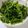 韓玉婷 的 炒空心菜 cooksnap
