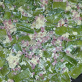 El cooksnap de Merce Aynes Garcia cuando hizo Judías verdes congeladas rehogadas con tranchetes.