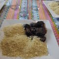El cooksnap de Agujo cuando hizo Jabalí guisado.