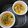 Cooksnap của Thanh Vân khi họ làm theo món Hàu nướng mỡ hành🦪