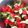 Cooksnap de Gisele Ferreira quando cozinhou Salada Caprese.