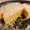 El cooksnap de Antonio Serrano cuando hizo Harcha al horno con yogur.