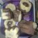 Cooksnap dari Annisa Abdillah untuk resep Bolu Kukus Pisang Cokelat