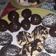 El cooksnap de Eli Machado cuando hizo Pasta Choux (masa bomba).