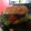 El cooksnap de JAVIER SANTAMARIA CAZARES cuando hizo Hamburguesas tradicionales.