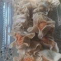 Cooksnap dari e.yuningsih untuk resep Dimsum ayam ekonomis