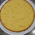 El cooksnap de Romina Stricker cuando hizo Bizcochuelo de naranja 🍊.