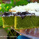 Cooksnap dari Dinda Ayu untuk resep Cake Nutrijell / bolu nutrujell kocok all on 1 (kopi coklat santan)
