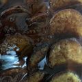 Cooksnap dari Fei Cu untuk resep Puding marie regal