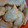 El cooksnap de Patricia Basaldella cuando hizo Masa para empanadas 🥟.