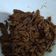 Cooksnap dari Safinatun Najjah untuk resep Krawu daging khas gresik