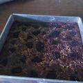 Cooksnap dari Ade Sulistiani untuk resep Brownies Panggang