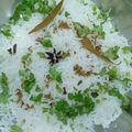 Shital Jataniya's cooksnap of when they made જીરા રાઈસ (Jeera Rice Recipe In Gujarati).