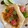 El cooksnap de Alberto cuando hizo Cochinita pibil.