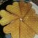 Cooksnap dari dian kharisma dini untuk resep Waffle Simple
