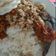 Cooksnap dari Rizka Pratiwi untuk resep Megono khas Pekalongan