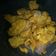 Cooksnap dari Sam Fransiska Handayani untuk resep Terong goreng tepung