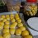 Cooksnap dari Febryani Dwiaryantingaja untuk resep Nastar lembut dan lumer