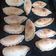 El cooksnap de Siempre Juntas Hijita cuando hizo Tapas para empanadas.