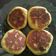 Cooksnap dari elloK untuk resep Roti panggang teflon, SIMPEL, ENAK!!!