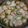 Cooksnap dari eva meylani untuk resep 849) Sayur Bening Lobak Bakso