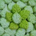 Cooksnap dari Chitra Savitri untuk resep Putri Salju Pandan