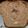 El cooksnap de Eva Laura Acosta cuando hizo Budín de banana SÚPER FÁCIL Y Húmedo.
