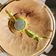 Cooksnap dari Herdina Santoso untuk resep Chiffon cake pandan