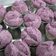 Cooksnap dari Gily_enza 18 untuk resep Bolu kukus mekar tanpa sprite