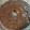 El cooksnap de Adriana Pilz cuando hizo Torta de mandarina fácil.