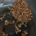 Cooksnap dari Eliza untuk resep Minyak Ayam-Bawang untuk bumbu Mie Ayam Bangka #29