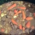alisonnjohn.parada's cooksnap of when they made Beef stew with gravy.