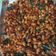 Cooksnap dari lenii untuk resep Kacang Pedas Manis (Kacang Thailand)