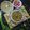 Daxa Parmar's cooksnap of when they made લીલી હળદરનું શાક (Lili Haldar Sabji recipe in Gujarati).