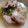 Cooksnap dari Vera untuk resep Bakut Sayur Asin