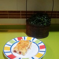 El cooksnap de Asisoyyo cuando hizo Falsos canelones de atún, bacon y piquillos.
