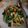 Cooksnap dari Alshyra Millenia S untuk resep Sayur sawi wortel dan tahu
