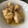 El cooksnap de jose hernandez cuando hizo Alones de pollo al ajillo en Monsieur Plus.