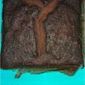 Cooksnap dari khansa nur amira untuk resep Brownies kukus