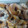 El cooksnap de Nahuel cuando hizo Rosquitas Caseras.