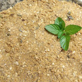 El cooksnap de Cuqui Bastida cuando hizo Crumble de cerezas.