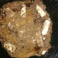 Vaishali Arora's cooksnap of when they made Mini choco cakes.