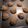 CaptainTimster's cooksnap of when they made Raisin and Nut Cookies.