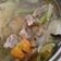 Cooksnap dari Ethyy untuk resep Sop Kambing Bening
