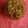 Antara Roy's cooksnap of when they made লইট্যা ঝুরি (loitya jhuri recipe in Bengali).